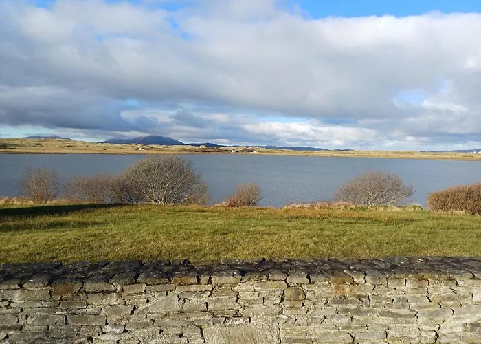 Tatil Evi The Curlew